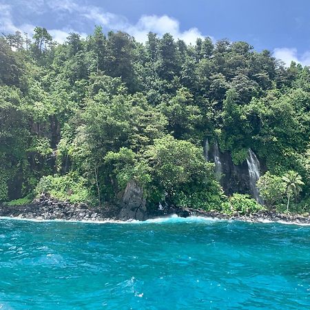 Taveuni Palms Resort Matei Kültér fotó